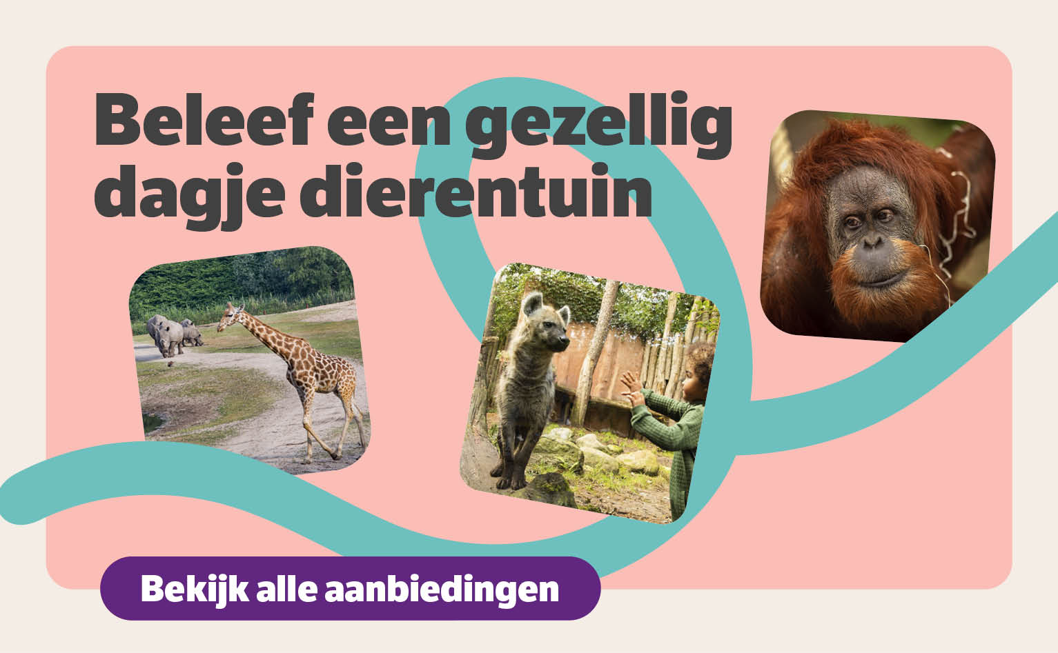 Beleef een gezellig dagje dierentuin