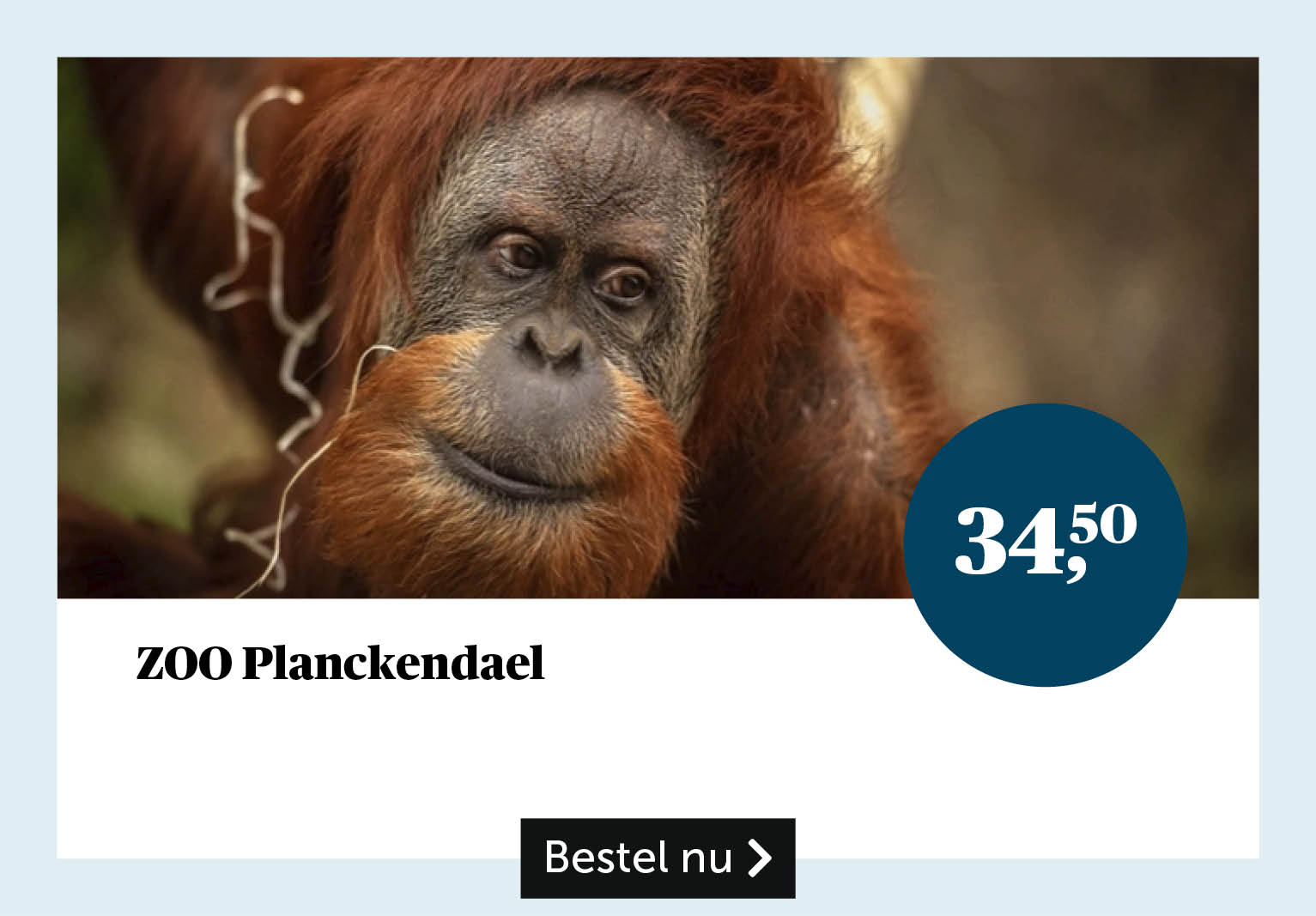 ZOO Planckendael